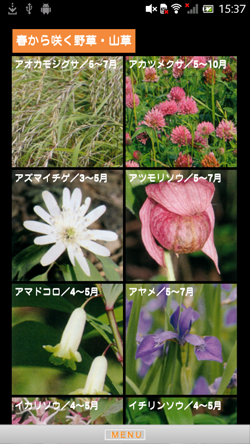 季節の野草・山草図鑑