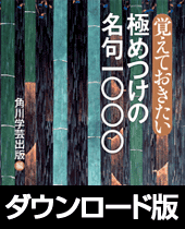 �y�_�E�����[�h�Łz�p�� �o���Ă��������ɂ߂��̖����Z�Z�Z